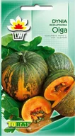 Nasiona i cebule - Toraf Dynia bezłupinowa Olga nasiona warzyw 3g 00086 - miniaturka - grafika 1