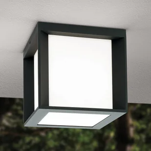 ORION Kinkiet zewnętrzny Henry, 16x16x16cm antracytowy - Lampy ogrodowe - miniaturka - grafika 2