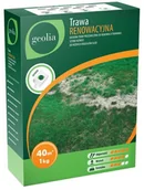 Trawy i trawniki - GEOLIA Nasiona trawy renowacyjnej 1kg Geolia - miniaturka - grafika 1