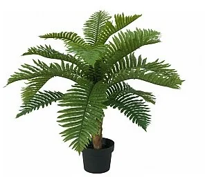 Europalms EUROPALMS Palma Cycas, sztuczna roślina, 70 cm 82509604 - Sztuczne kwiaty Europalms EUROPALMS Palma Cycas, sztuczna roślina, 70 cm 82509604 - Sztuczne kwiaty - miniaturka - grafika 1