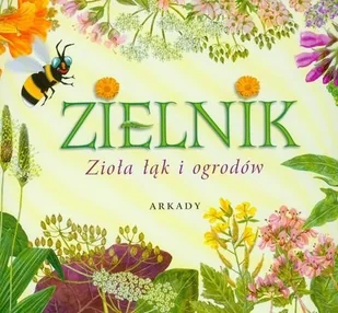 Zielnik Zioła łąk i ogrodów - Książki medyczne - miniaturka - grafika 2