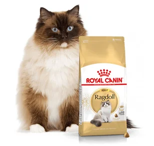 Royal Canin Ragdoll Adult 10kg + Koszulka GRATIS! 235140 - Mokra karma dla kotów - miniaturka - grafika 3