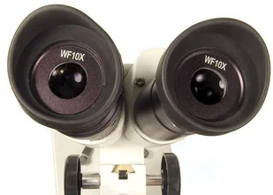 LEVENHUK Mikroskop 2ST 35322 - Mikroskopy i lupy - miniaturka - grafika 7