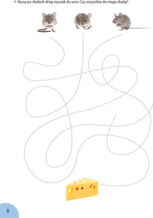 Wydawnictwo MAC Owocna Edukacja. Ćwiczenia grafomotoryczne 881198 - Edukacja przedszkolna - miniaturka - grafika 6