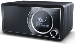 Sharp DR-450 białe - Radia - miniaturka - grafika 28