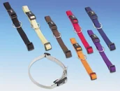 Obroże dla kotów - Nobby obroża dla psów - Classic, pomarańczowy - miniaturka - grafika 1