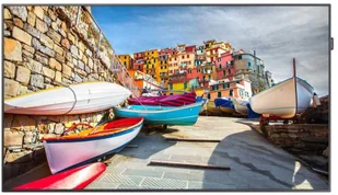 Samsung electronics polska Monitor SMART Signage PM49H 24/7 LH49PMHPBGC PM49H - Monitory reklamowe i wyświetlacze - miniaturka - grafika 5