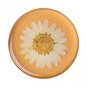 Uchwyty samochodowe do telefonów - Popsockets s uchwyt Pressed Flower White Daisy - miniaturka - grafika 1