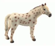 Figurki dla dzieci - Bullyland 62621  figurka do gier, knabstrup ogiera, ok. 13 cm - miniaturka - grafika 1