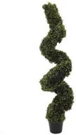 Sztuczne drzewka - Europalms Euro Palms 82607611 Buch sspiral drzewo 150 cm 82607611 - miniaturka - grafika 1