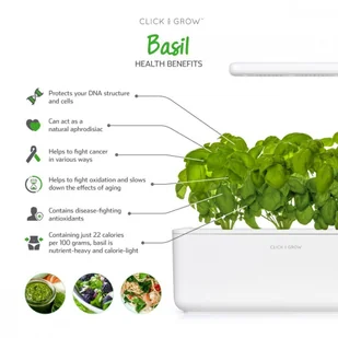 Click&Grow Kapsułki z nasionami Smart Soil 3 szt. bazylia 4742793007199 - Nasiona i cebule - miniaturka - grafika 10