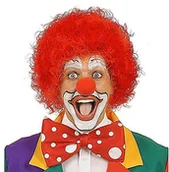 Gadżety na imprezę - Widmann Clown Red Wig for Hair Accessory Fancy Dress WDM5951R - miniaturka - grafika 1