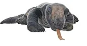 Maskotki i pluszaki - Wild Republic 14147 szary komodo smok pluszowe przytulanki miękkie zabawki prezenty dla dzieci, 30 cm 12974 - miniaturka - grafika 1
