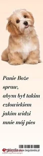 Bogulandia Zakładka do książki - Panie Boże spraw - Powieści - miniaturka - grafika 2