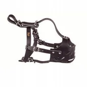 Kagańce dla psów - Dingo Kaganiec Zabudowany Skórzany Nr 2 - miniaturka - grafika 1