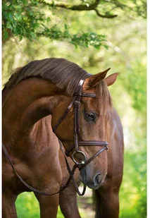 Kerbl Ogłowie wędzidłowe Classic, skóra, brązowe, rozmiar Pony, 324911 - Ogłowia - miniaturka - grafika 3