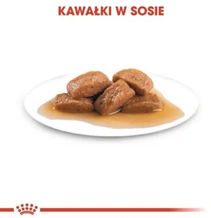 Royal Canin Size Maxi Adult karma mokra w sosie dla psów dorosłych, do 5 roku życia, ras dużych saszetka 140g 16429 - Mokra karma dla psów - miniaturka - grafika 5