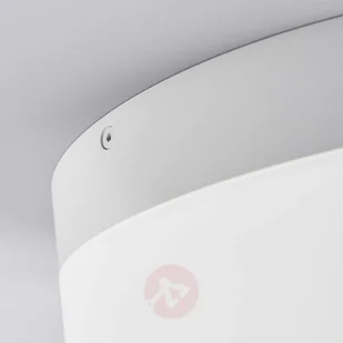 Helestra LIV lampa sufitowa LED Biały, 1-punktowy - Nowoczesny - Obszar wewnętrzny - LIV - Czas dostawy: od 4-8 dni roboczych 15/1632.07 - Lampy sufitowe - miniaturka - grafika 5