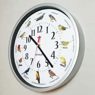 Zegary - Atrix Zegar z głosami ptaków #1 plastik srebrny ATE2014SPT1W - miniaturka - grafika 1