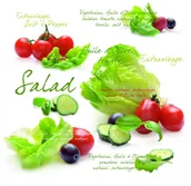 Folia, papier śniadaniowy, serwetki - Nuova R2S Easy life SERWETKI PAPIEROWE - Salad (SLD) - miniaturka - grafika 1