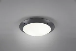 Camaro RL Antracyt E27 śr. 33cm IP54 Lampa sufitowa zewnętrzna RL R60502042 R60502042 - Lampy sufitowe - miniaturka - grafika 3