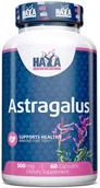 Witaminy i minerały dla sportowców - Haya Labs Astragalus 500mg 60caps - miniaturka - grafika 1
