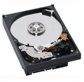 Dyski serwerowe - Fujitsu Business Critical - 1 Dysk twardy - 160 GB - 2.5" - 7200 rpm - SATA-150 - cache S26361-F3625-L160 - miniaturka - grafika 1