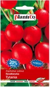 Nasiona i cebule - Plantico Rzodkiewka Tytania - miniaturka - grafika 1