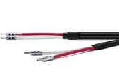 Kable - Oyaide Across 3000 B Kabel głośnikowy 2 x 2.5 m - miniaturka - grafika 1