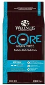 Suplementy i witaminy dla psów - Wellness CORE Ocean Salmon s 10750 - miniaturka - grafika 1