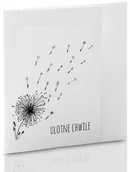 Albumy fotograficzne - NA Mini-Album TS dmuchawce zestaw trzy zdjęcia 15x21 - miniaturka - grafika 1