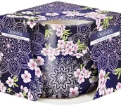 Świece - Bispol świeca zapachowa w szkle Oriental - miniaturka - grafika 1