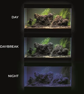 AQUA EL AQUAEL Leddy Tube 10W SUNNY D&N 2.0 124233 - Oświetlenie akwarium - miniaturka - grafika 5