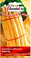 Nasiona i cebule - Plantico Szparag - miniaturka - grafika 1
