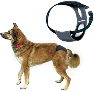 Trixie Majtki na cieczkę rozmiar S-M nr kat.23492 - Specjalistyczne artykuły dla zwierząt - miniaturka - grafika 3