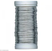 Pozostałe akcesoria dla plastyków - Rayher Hobby Rayher 2425021 drut kwiaty, 0,35 MM , szpulka 100 m, SB-Btl. 1 szpula, Platyna 24-250-21 - miniaturka - grafika 1