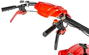 CEDRUS GLX-GT65-2B&S - Glebogryzarki - miniaturka - grafika 13