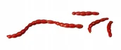 Przynęty - BERKLEY Bloodworm Red Gulp! Alive Sztuczna Ochotka - miniaturka - grafika 1