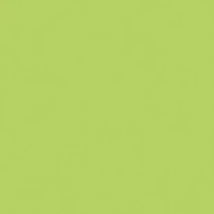 Serwetki Unicolor 33x33 Anise Green SDL111006 - Dekoracje i nakrycia stołu na imprezę - miniaturka - grafika 2