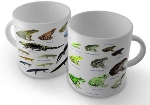 Soliton Kubek - Płazy SOLITON - Kubki Soliton Kubek - Płazy SOLITON - Kubki - miniaturka - grafika 2