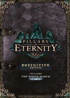 Gry PC Cyfrowe - Pillars of Eternity (Definitive Edition) - miniaturka - grafika 1