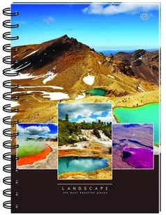 Inter-druk Kołonotes A5 120k. mix kratka ZG33INT - Szkolne artykuły papiernicze - miniaturka - grafika 2