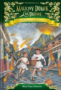 Wakacje pod wulkanem - Literatura popularno naukowa dla młodzieży - miniaturka - grafika 2