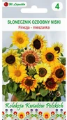 Nasiona i cebule - Legutko Słonecznik ozdobny FINEZJA - miniaturka - grafika 1