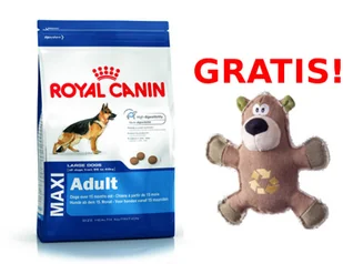Royal Canin Maxi Adult 15kg - Mokra karma dla psów - miniaturka - grafika 2