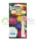 Nasiona i cebule - Legutko Aster chiński King Size 0,5g wysoki mieszanka - miniaturka - grafika 1
