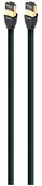 Kable miedziane - Audioquest AudioQuest Forest kabel sieciowy RJ/E High Speed Ethernet Cat7, 8.00 m (RJEFOR08) - miniaturka - grafika 1