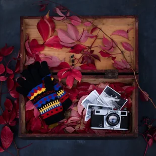 Art of Polo Rękawiczki na Szlaczku - Rękawiczki Art of Polo Rękawiczki na Szlaczku - Rękawiczki - miniaturka - grafika 2