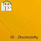 Papier do drukarek - Canson Karton kolorowy 200040156) - miniaturka - grafika 1