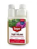 Preparaty na chwasty i szkodniki - Target Środek owadobójczy iglaki Karate Gold 250ml 007505_TARGET - miniaturka - grafika 1